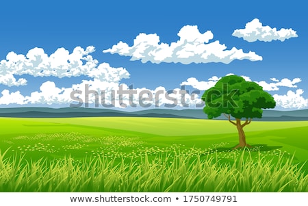 [[stock_photo]]: Trees In A Summer Cloudy Day