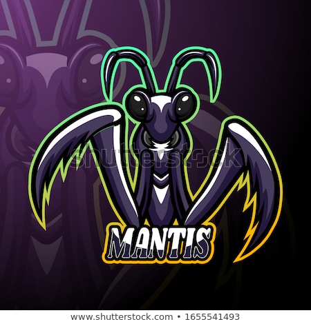 Foto stock: Praying Mantis Mascot