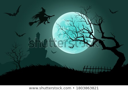 Foto stock: Bats Flying Over Moonlight In Night Sky Background