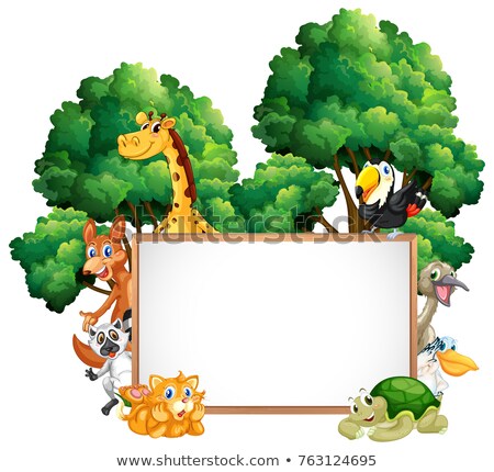 Stok fotoğraf: Wooden Frame With Many Animals In Forest