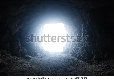 Zdjęcia stock: Abandoned Tunnel With Light At End