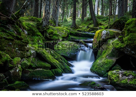 Foto stock: Flowing Mountain Stream