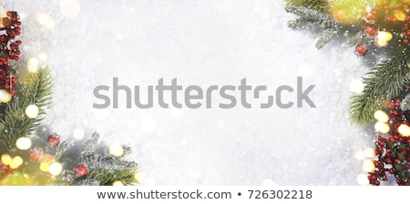 Stock foto: Winter Flora Background Border