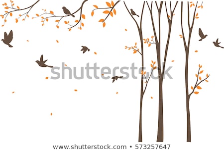 Stock photo: Color Birds On Tree Vector