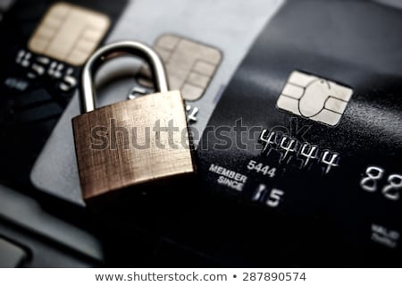 Stok fotoğraf: Secure Credit Card Transactions