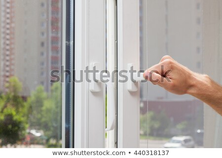 Stock foto: Man In Garden Window Net