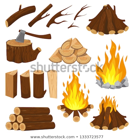 Stok fotoğraf: Bonfire Set