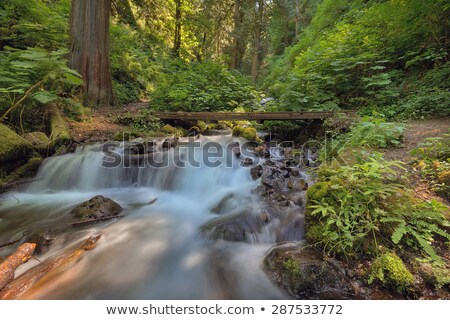 Stock photo: Cascading Waterfall At Wahkeena Canyon Trail