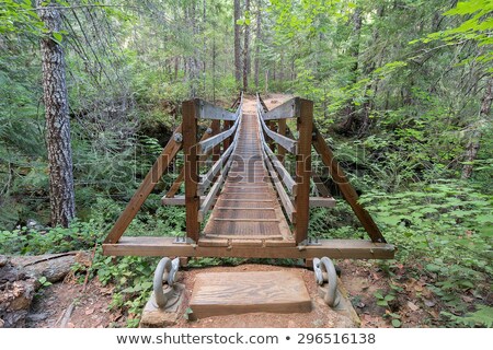 ストックフォト: Suspension Bridge Over Falls Creek Front View