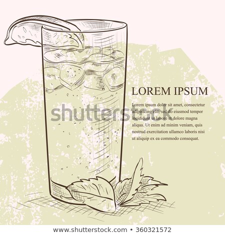 Foto stock: Cocktail Moscow Mule Scetch