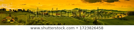 Foto stock: Countryside In Tuscany