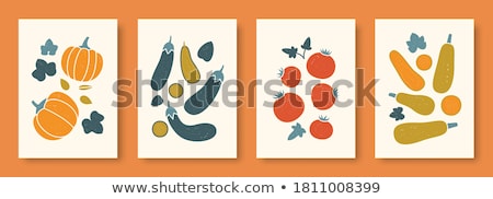 Stok fotoğraf: Marrow And Eggplant Collection Vector Illustration