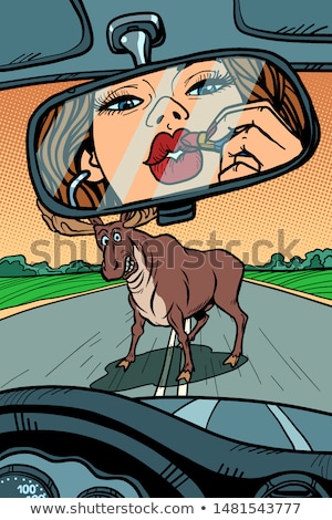 Woman Driver Looks In The Mirror Wild Animals On The Road Stok fotoğraf © rogistok