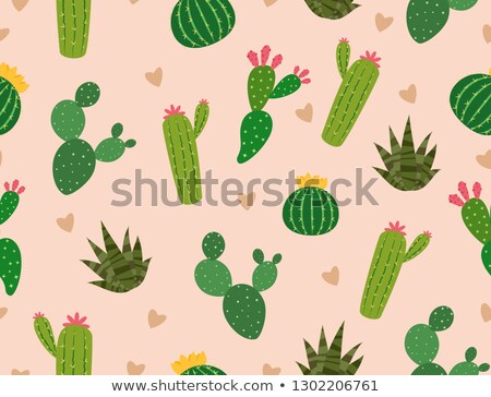 Zdjęcia stock: Seamless Pattern Of Many Cactus With Mini Heart On Background - Vector Illustration