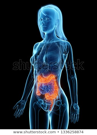 Stock photo: 3d Rendered Illustration Of A Painful Bowel