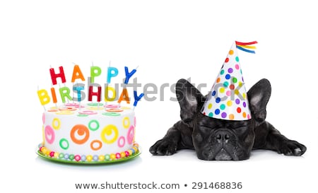 商業照片: Happy Birthday Sleeping Dog