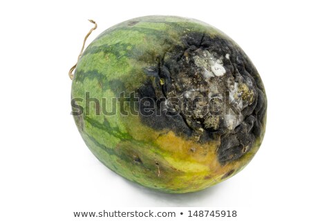 [[stock_photo]]: Rotten Watermelon