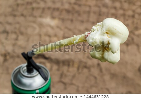 Stock photo: Close Up Of Bowguns