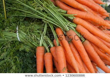 Fresh Clean Carrots With Foliage On The Market Stockfoto © mcherevan