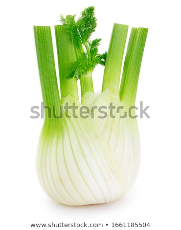 Foto stock: Fennel