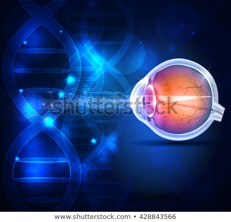 Stockfoto: Normal Eye Anatomy Scientific Dna Background