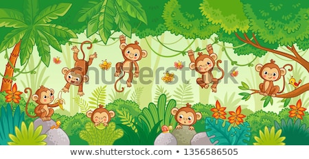 Zdjęcia stock: Monkeys On Lianas In The Jungle