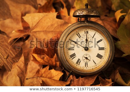 Foto stock: Old Alarm Clock Surrounded By Dry Leaves