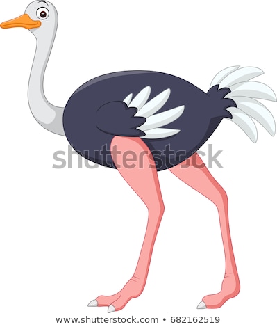 Foto stock: Cartoon Ostrich Posing