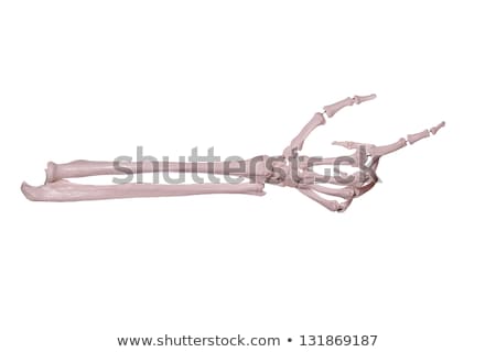 Foto stock: Count 2 - Hand And Arm Of Bones