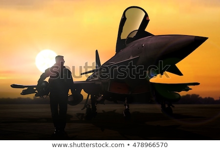 Stock photo: Fighter Defense