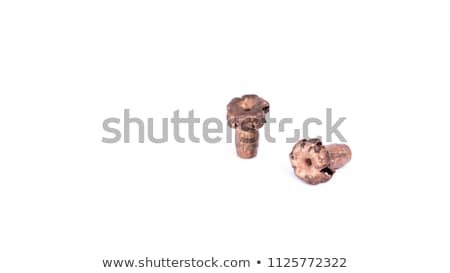 Stock fotó: Macro Shot Of Copper Bullets