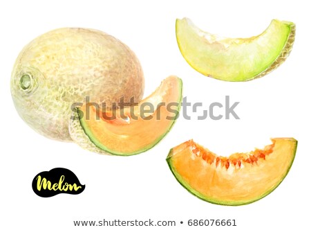 ストックフォト: Watercolor Illustration Of Half Of Melon