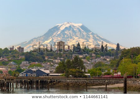 Foto stock: Mount Rainier From Scenic Viewpoint