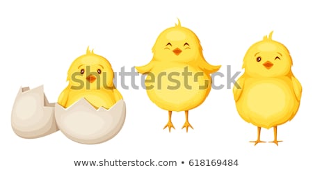 Foto d'archivio: Smiling Yellow Chick Cartoon Character Out Of An Egg Shell