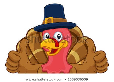 Stock foto: Turkey Pilgrim Hat Thanksgiving Cartoon Character