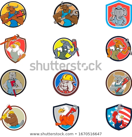 Stok fotoğraf: American Eagle Mascot Circle Cartoon Set