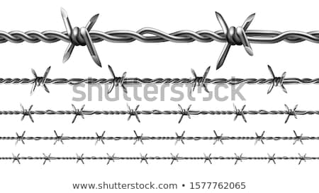 Stockfoto: Barbed Wire Types Seamless Pattern Set Vector