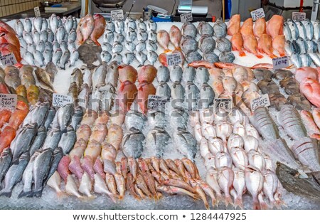 Great Choice Of Fresh Fish For Sale Сток-фото © elxeneize