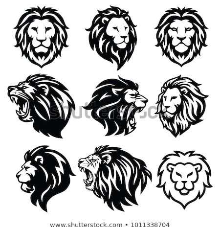 Stock fotó: Lion Head Graphic Mascot Illustration