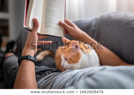 Foto stock: Man Reading At Home