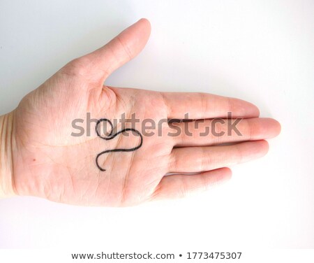 Foto stock: Female Hands Opening To Light And Holding Zodiac Sign For Leo