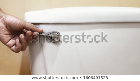 Spłukiwanie toalety Zdjęcia stock © winnond
