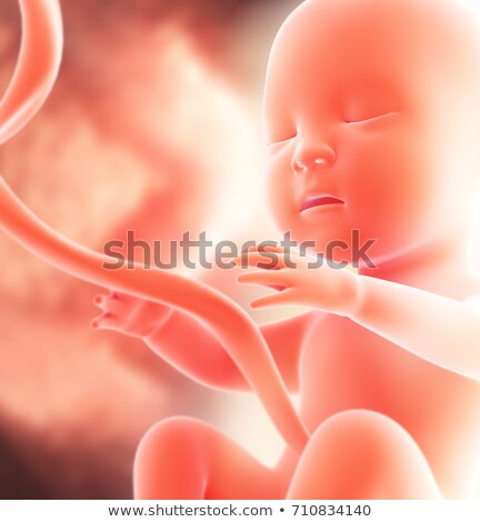 Zdjęcia stock: Human Fetus Concept