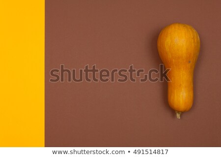 Zdjęcia stock: Butternut Squash Isolated On Brown And Yellow Split Background