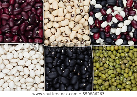商業照片: Kidney Beans Background Assortment Haricot - Red Black White Mung In Square Cells Macro