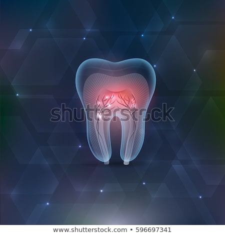 Zdjęcia stock: Dental Background Transparent Tooth Cross Section