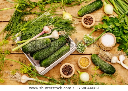 Foto stock: Pickled Cucumbers With Herbs