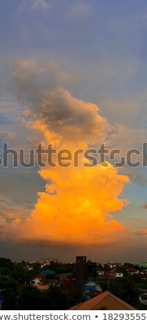 Stock photo: White Ram In Orange Light Of Dawn