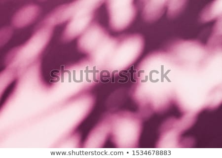 Stockfoto: Abstract Art Botanical Shadows Overlay On Blush Pink Background