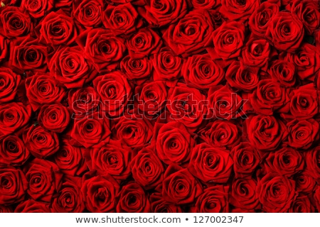 Stock photo: Sweetheart Background